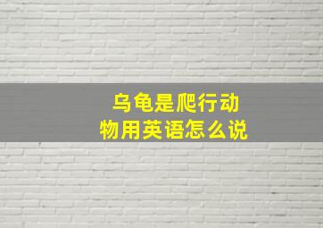 乌龟是爬行动物用英语怎么说