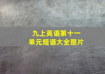 九上英语第十一单元短语大全图片