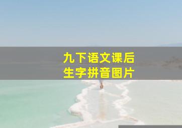 九下语文课后生字拼音图片