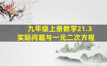 九年级上册数学21.3实际问题与一元二次方程