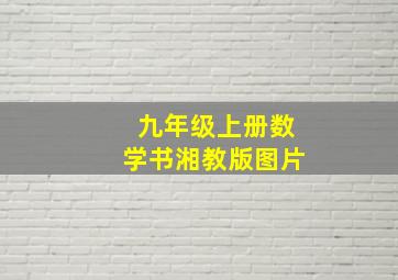 九年级上册数学书湘教版图片