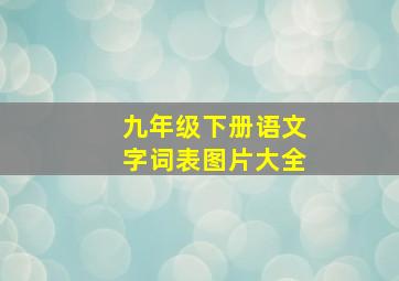 九年级下册语文字词表图片大全