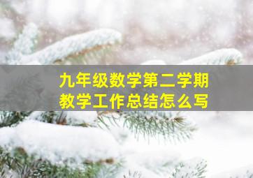 九年级数学第二学期教学工作总结怎么写