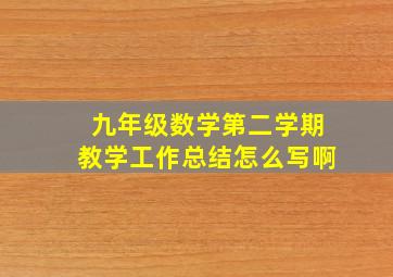 九年级数学第二学期教学工作总结怎么写啊