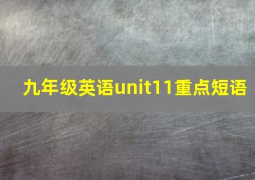 九年级英语unit11重点短语