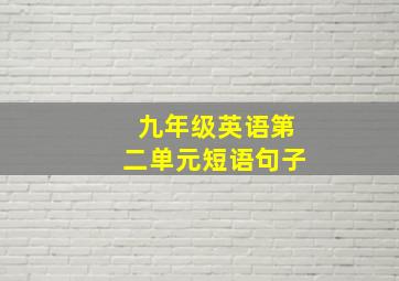 九年级英语第二单元短语句子