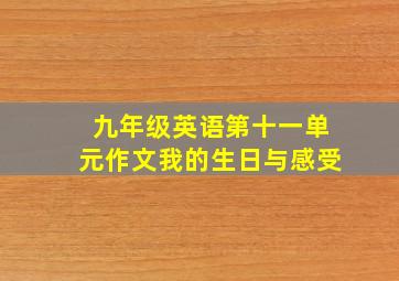 九年级英语第十一单元作文我的生日与感受