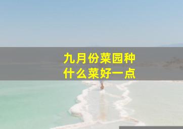 九月份菜园种什么菜好一点