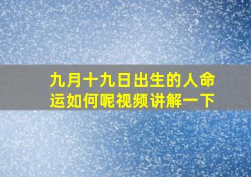 九月十九日出生的人命运如何呢视频讲解一下