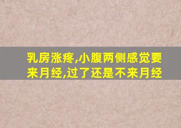 乳房涨疼,小腹两侧感觉要来月经,过了还是不来月经