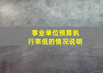 事业单位预算执行率低的情况说明