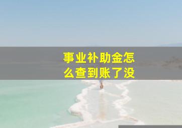 事业补助金怎么查到账了没