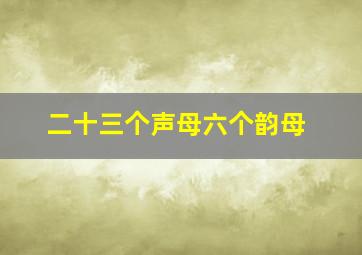 二十三个声母六个韵母