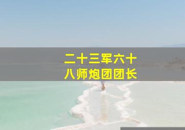 二十三军六十八师炮团团长