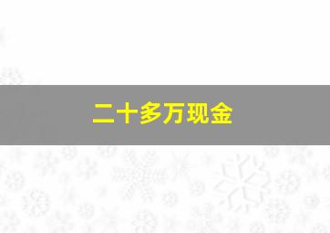 二十多万现金