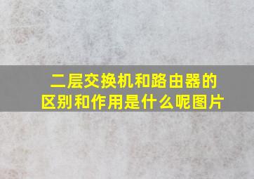 二层交换机和路由器的区别和作用是什么呢图片