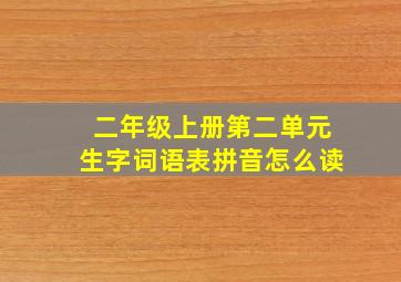 二年级上册第二单元生字词语表拼音怎么读