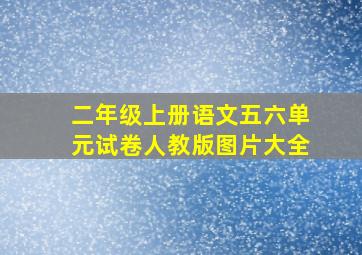 二年级上册语文五六单元试卷人教版图片大全