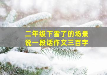 二年级下雪了的场景说一段话作文三百字