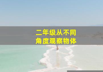 二年级从不同角度观察物体