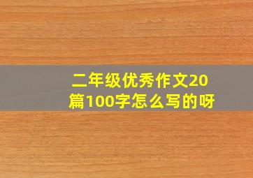 二年级优秀作文20篇100字怎么写的呀