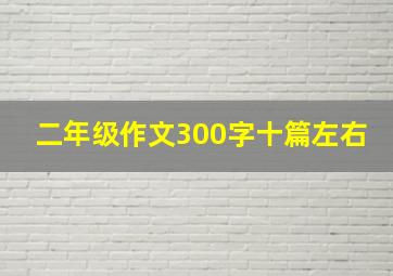 二年级作文300字十篇左右