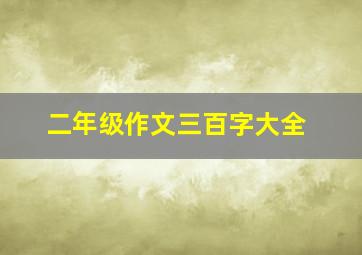 二年级作文三百字大全