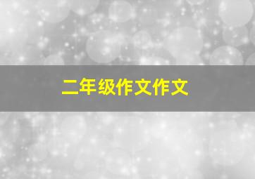 二年级作文作文