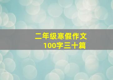 二年级寒假作文100字三十篇