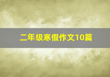 二年级寒假作文10篇