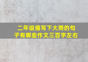 二年级描写下大雨的句子有哪些作文三百字左右