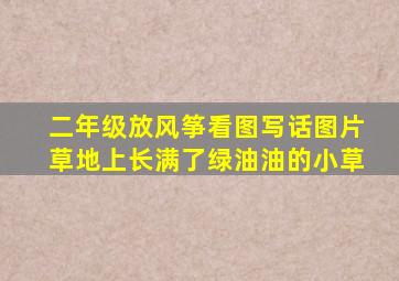 二年级放风筝看图写话图片草地上长满了绿油油的小草