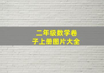 二年级数学卷子上册图片大全