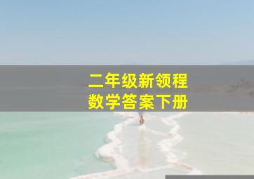 二年级新领程数学答案下册