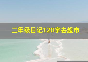 二年级日记120字去超市