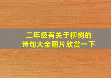 二年级有关于柳树的诗句大全图片欣赏一下