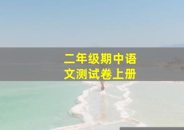 二年级期中语文测试卷上册