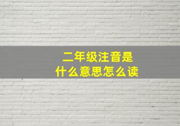 二年级注音是什么意思怎么读