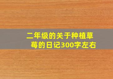 二年级的关于种植草莓的日记300字左右