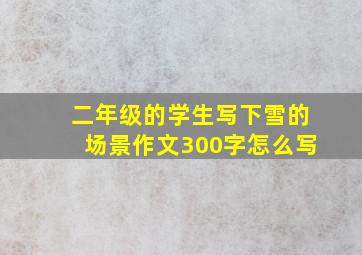 二年级的学生写下雪的场景作文300字怎么写