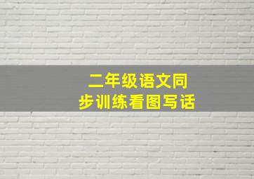 二年级语文同步训练看图写话