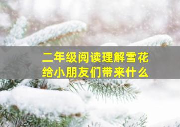 二年级阅读理解雪花给小朋友们带来什么