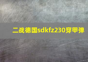 二战德国sdkfz230穿甲弹