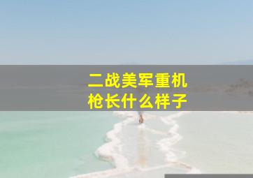 二战美军重机枪长什么样子