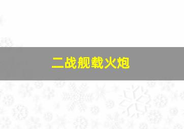 二战舰载火炮