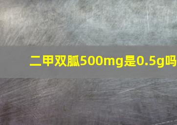 二甲双胍500mg是0.5g吗