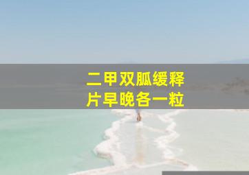 二甲双胍缓释片早晚各一粒