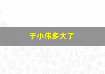 于小伟多大了