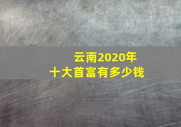 云南2020年十大首富有多少钱