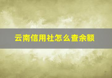 云南信用社怎么查余额